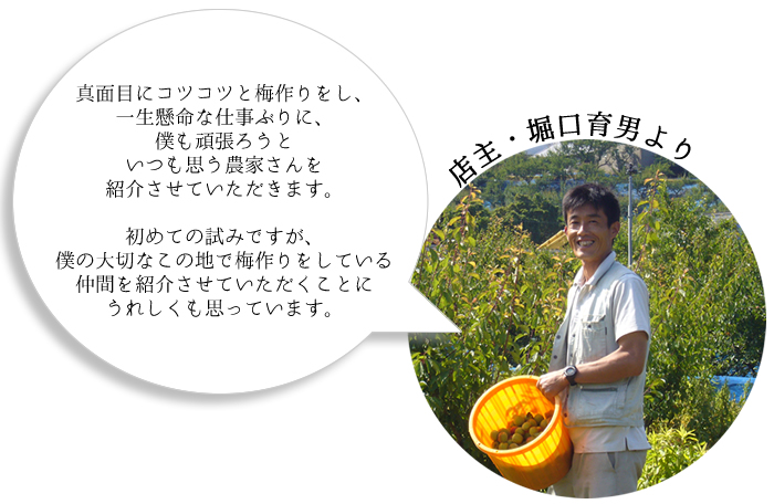⭕大量でお得！宮崎県産　無農薬　福じいちゃんの青梅　サイズ混合　箱込み約15キロ △表面そばかすだらけ！宮崎県産 無農薬 福じいちゃんの青梅 箱