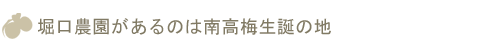 南高梅生誕の地