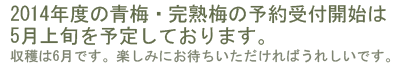 青梅の予約状況