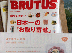 BURUTUSǺߴ