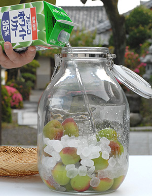 後は梅酒が出来るのを待つだけ!