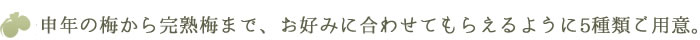 申年の梅から完熟梅まで、お好みに合わせてもらえるように5種類の冷凍梅をご用意しました