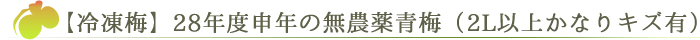 【冷凍梅】28年度申年の無農薬青梅（2L以上かなりキズ有り）