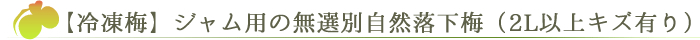 冷凍梅】ジャム用の無選別自然落下梅（2L以上キズ有り）
