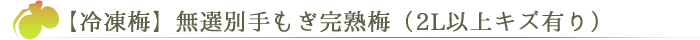冷凍梅】無選別手もぎ完熟梅（2L以上キズ有り）